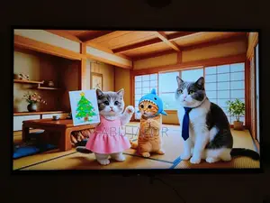 Sony Bravia 43-inch 4K TV