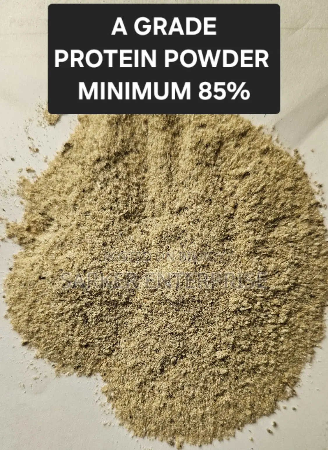 Fish Meal Protein