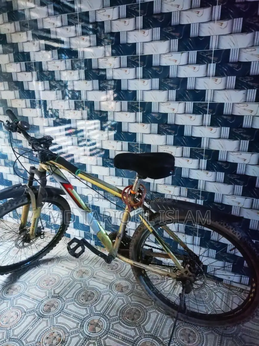 Bicycle for sale