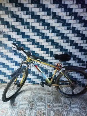 Bicycle for sale