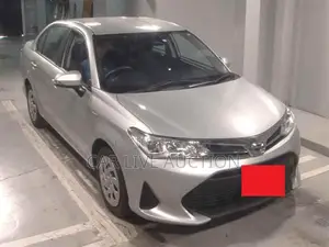 Toyota Axio Hybrid EX Package 2021