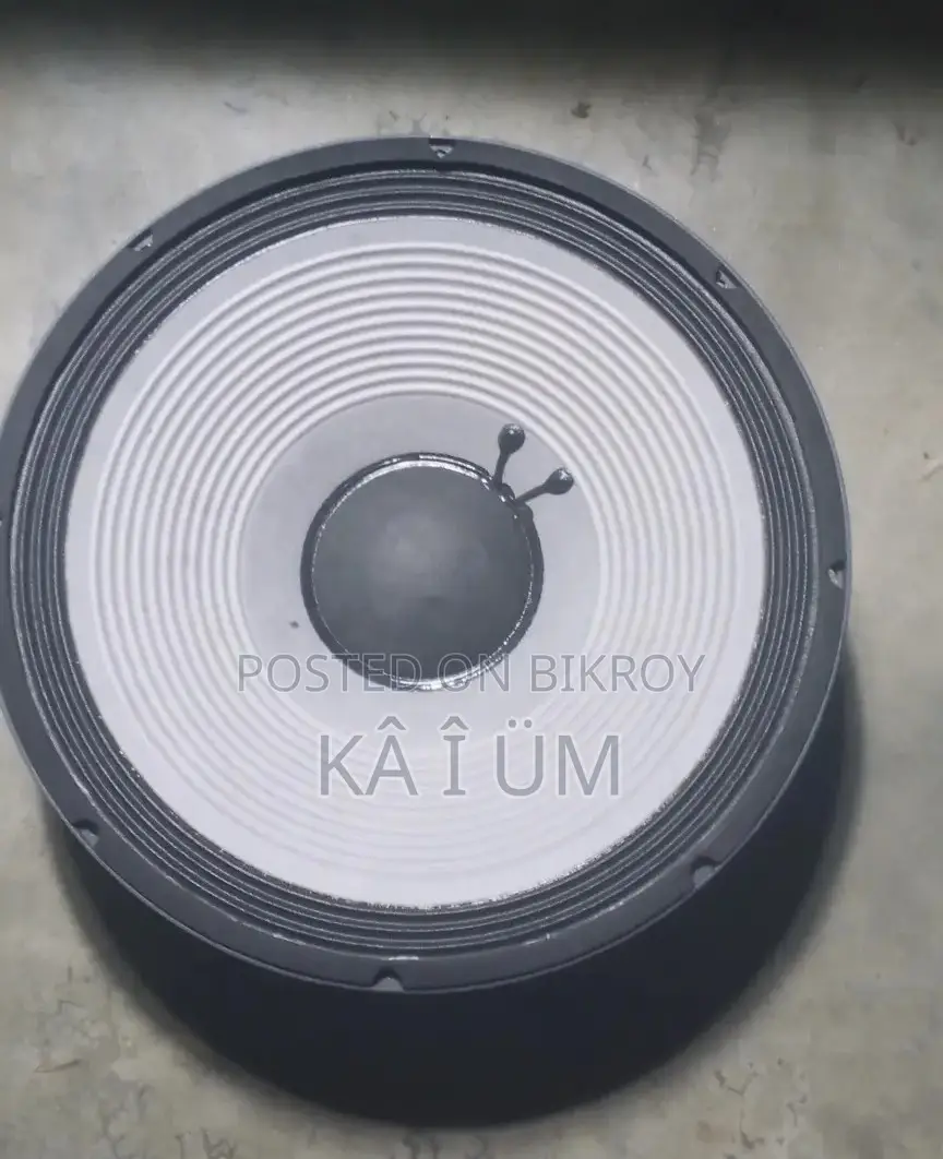 JBL 4 Coil Speaker