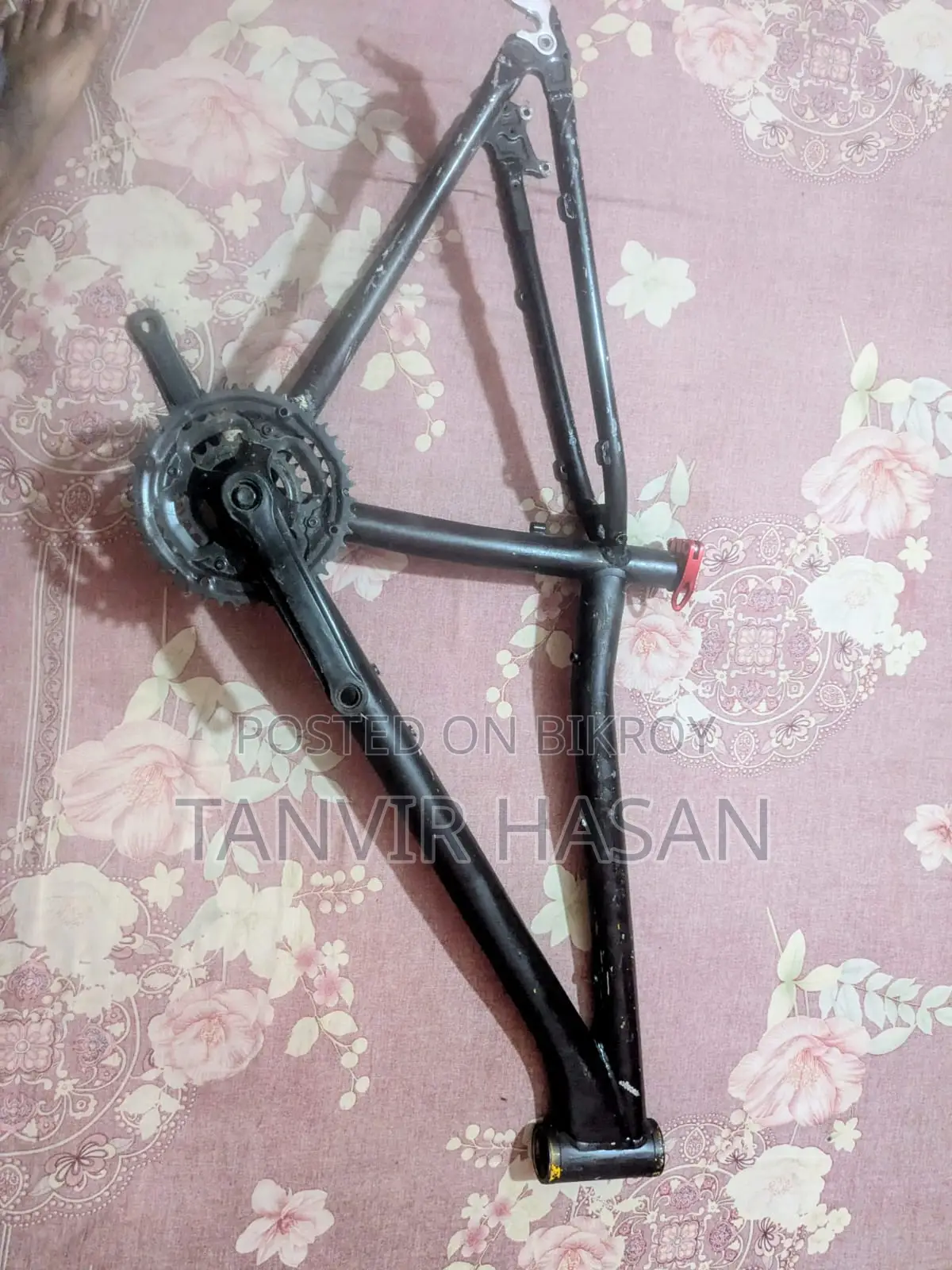 Focus Bicycle Frame