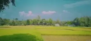 হাউজিংয়ের জন্য জমি বিক্রি