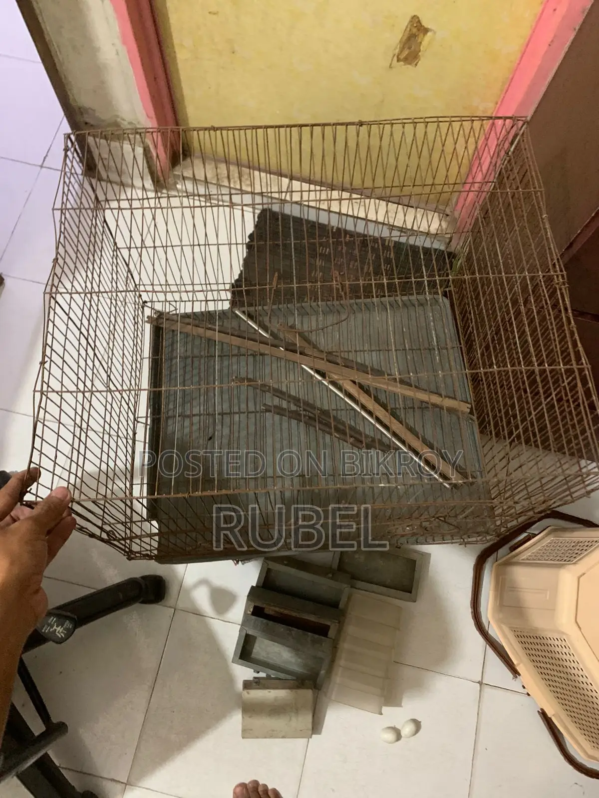 Cage for Pigeons or Birds