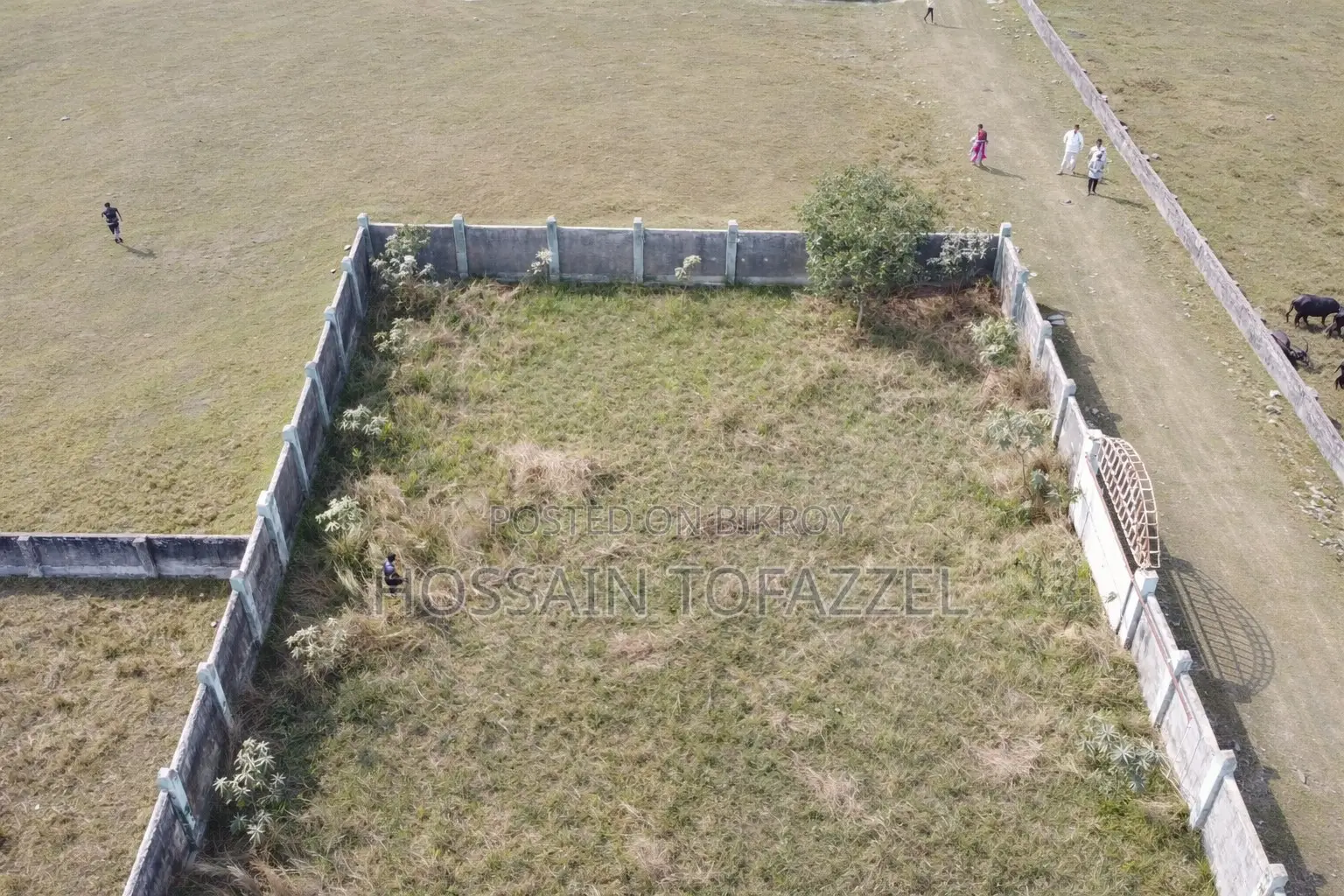 Land Shares for Sale