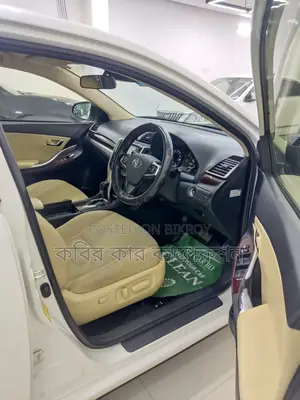 Toyota Premio FEX package 2017