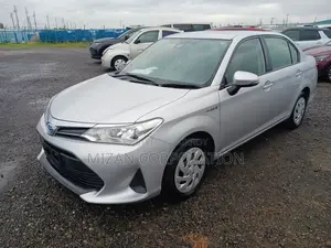 Toyota Axio Ex package 2020