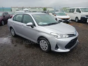 Toyota Axio Ex package 2020