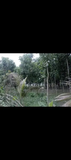 জরুরি জমি বিক্রয়