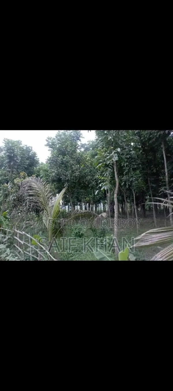 Urgent Land Sale