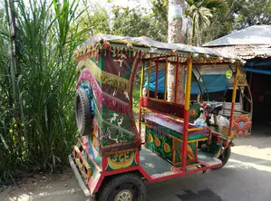 ইজিবাইক রিক্সা