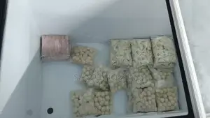 Deep Freeze Vision