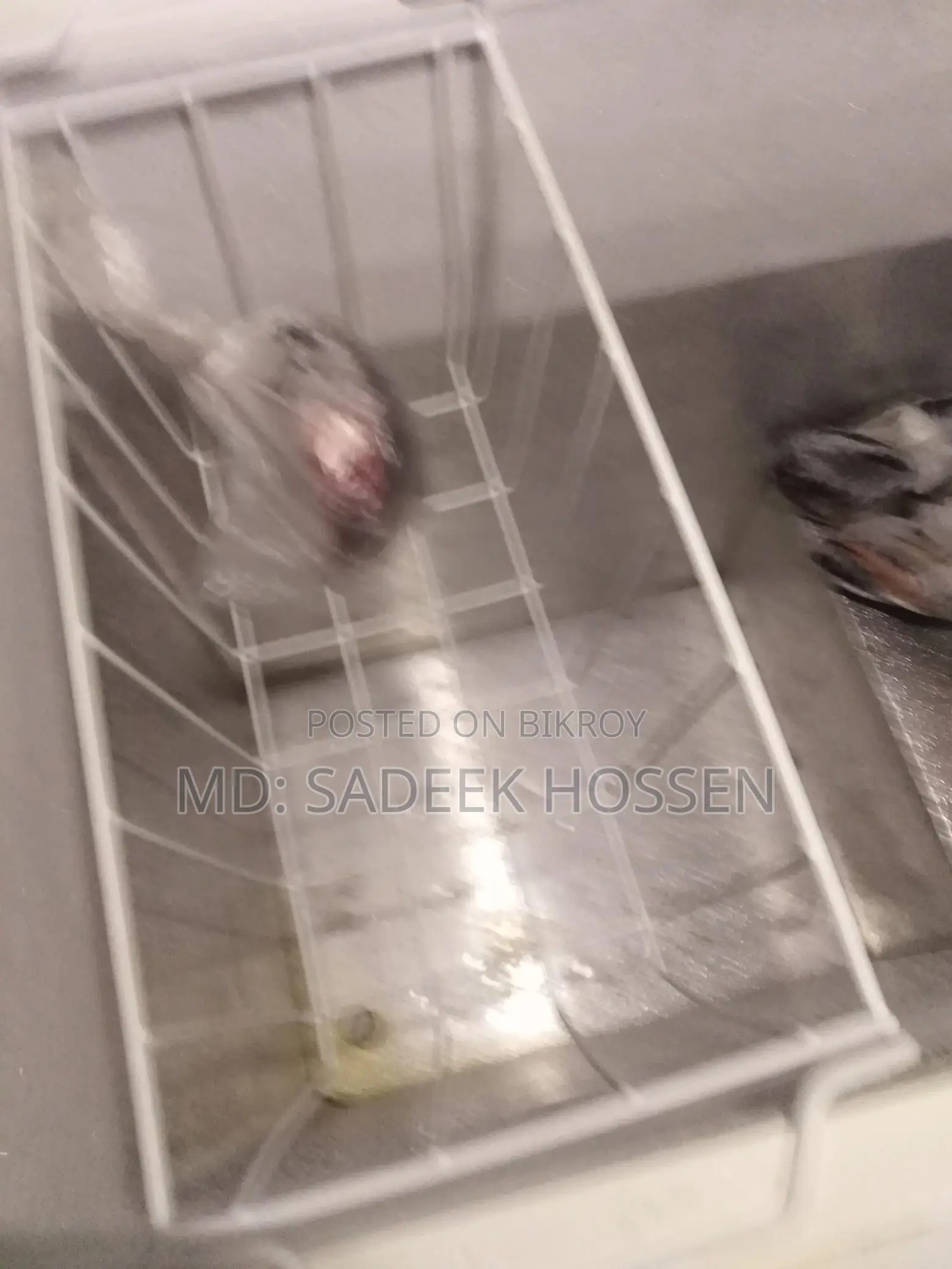 Deep Freezer for sale