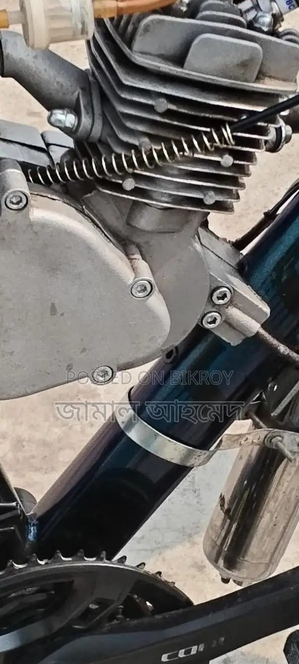 Chinese Engine Bicycle