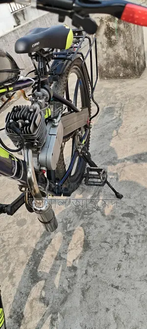 Chinese Engine Bicycle