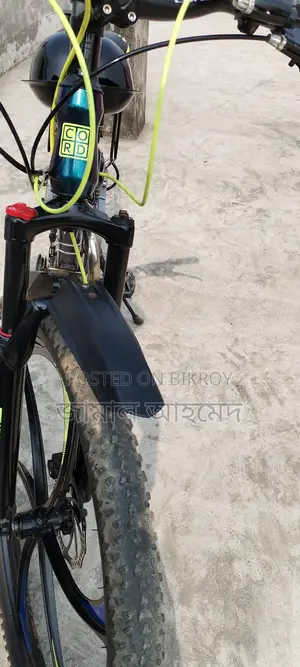 Chinese Engine Bicycle