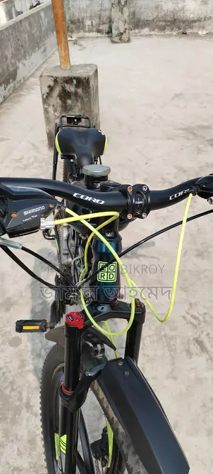 Chinese Engine Bicycle