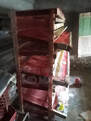 ৩০০ পিস কোয়েল পাখির খাঁচা