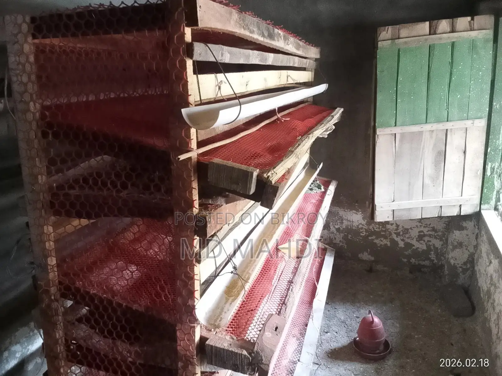 300-piece Quail Bird Cage