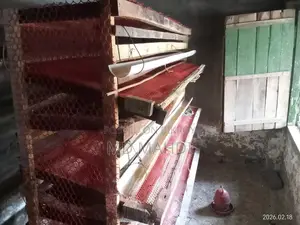 300-piece Quail Bird Cage