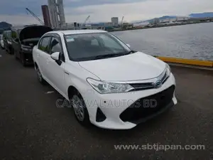 Toyota Axio EX PACKAGE 4.5 GRADE 2020