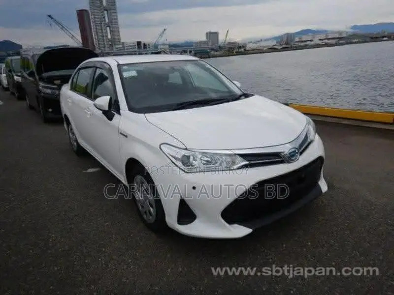 Toyota Axio EX PACKAGE 4.5 GRADE 2020