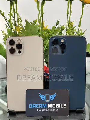 Apple iPhone 12 Pro (Used)