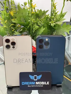 Apple iPhone 12 Pro (Used)