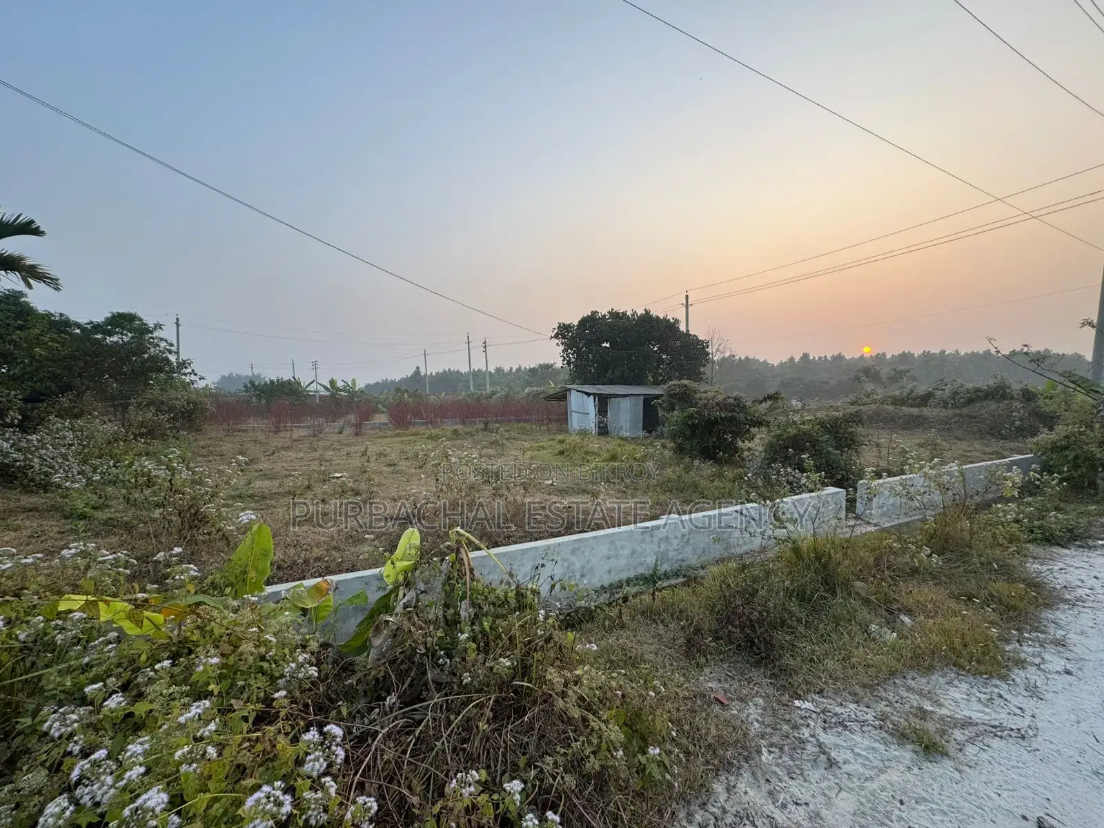 ১০০ ফুটের কাছে, দক্ষিণমুখী, সেক্টর ২৮-এ ৩ কাঠার প্লট