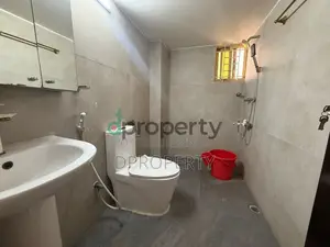 Furnished 5bdrm Apartment in Basundhara for Rent