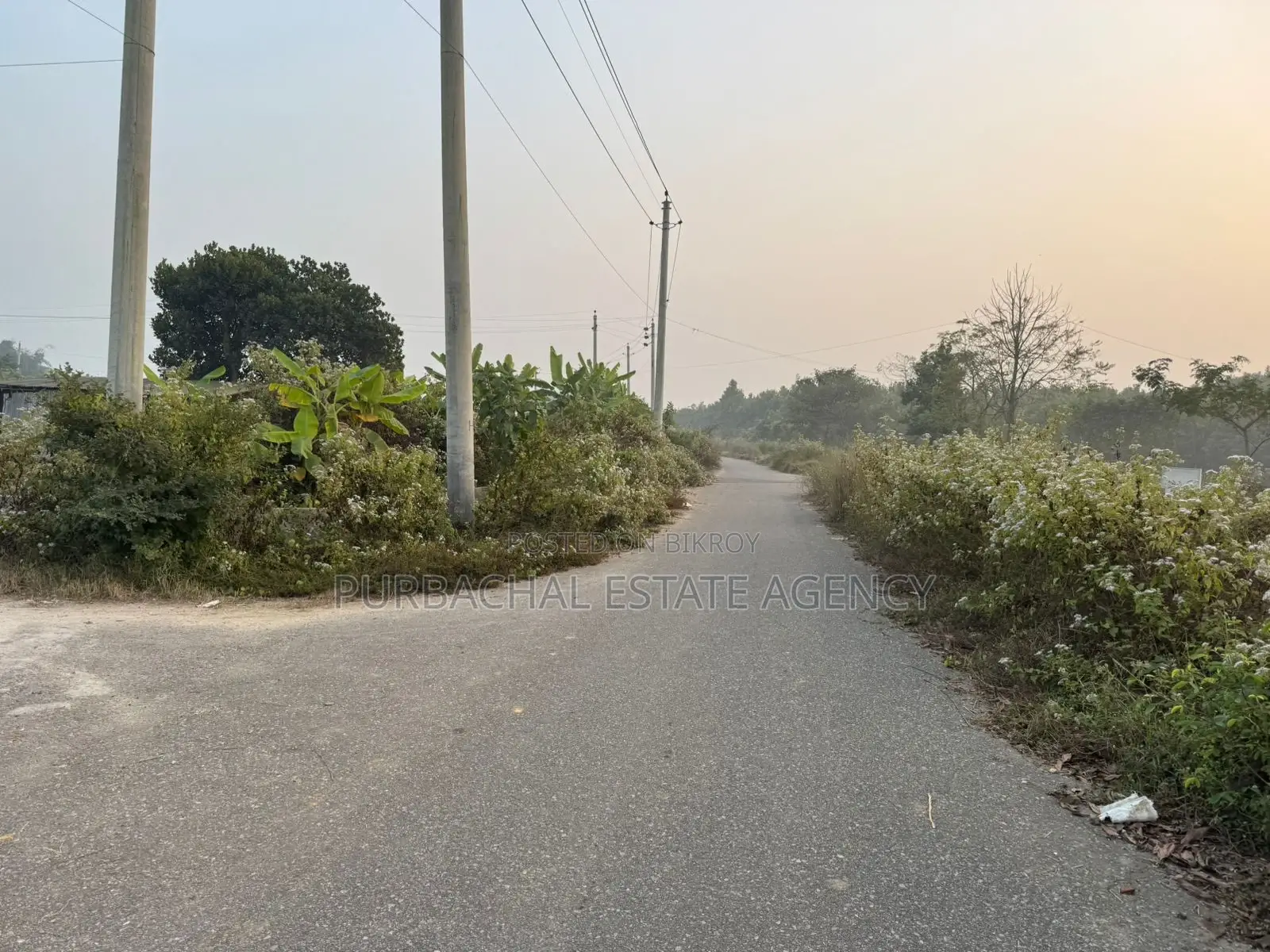 Lake View Corner, 12 Katha Plot In Sec#11