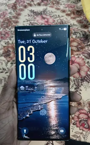 Samsung Galaxy S22 Ultra (ব্যবহৃত)