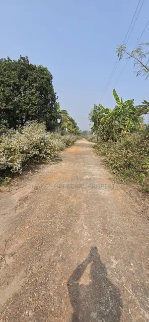 Sector -23 East Facing 3 Katha Plot Sell