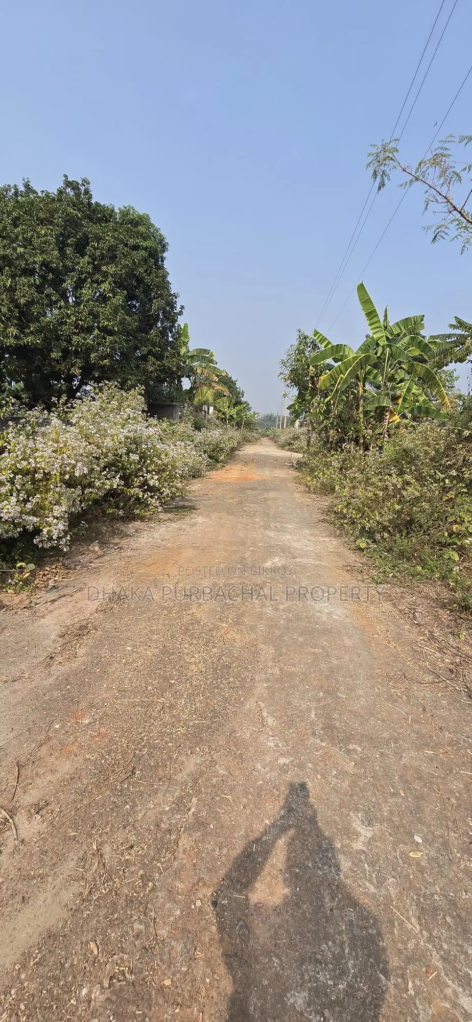 Sector -23 East Facing 3 Katha Plot Sell