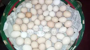 দেশি মুরগির ডিম