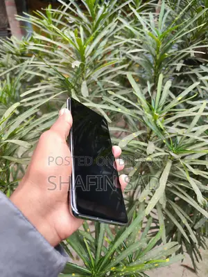 OnePlus 11 (12/256) (ব্যবহৃত)