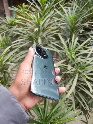OnePlus 11 (12/256) (ব্যবহৃত)
