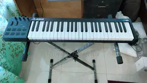 Alesis V49 Midi Keyboard + Roland Stand Sustain Pedel