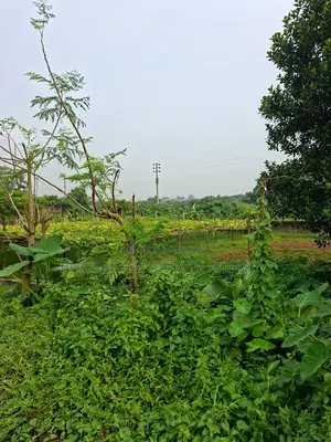 East Facing, Semi Corner, 3 Katha Plot In Sec#28
