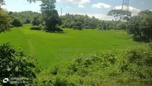 রিসোর্ট এর জন্য উপযোগী @ 337 শতাংশ জমি বিক্রি করা হইবে
