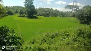337 Decimal Land for Sale, Perfect for Resort