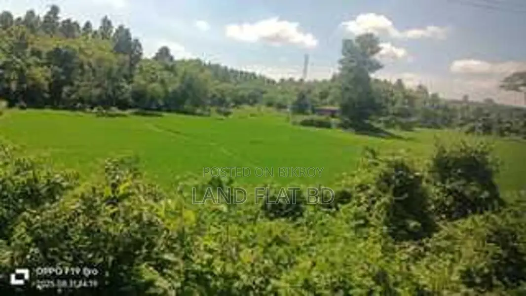 337 Decimal Land for Sale, Perfect for Resort
