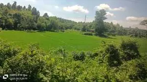337 Decimal Land for Sale, Perfect for Resort