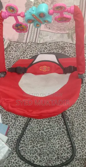 Baby Bouncer