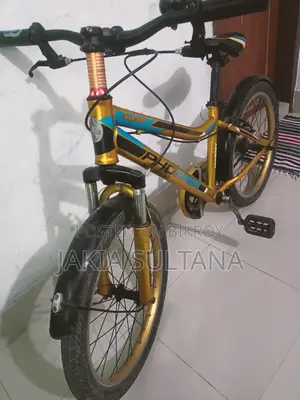 Duranta Bicycle for Sale