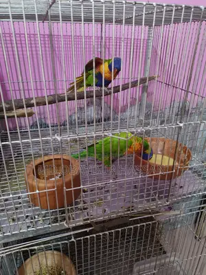 রেড মূলক কার লড়ি