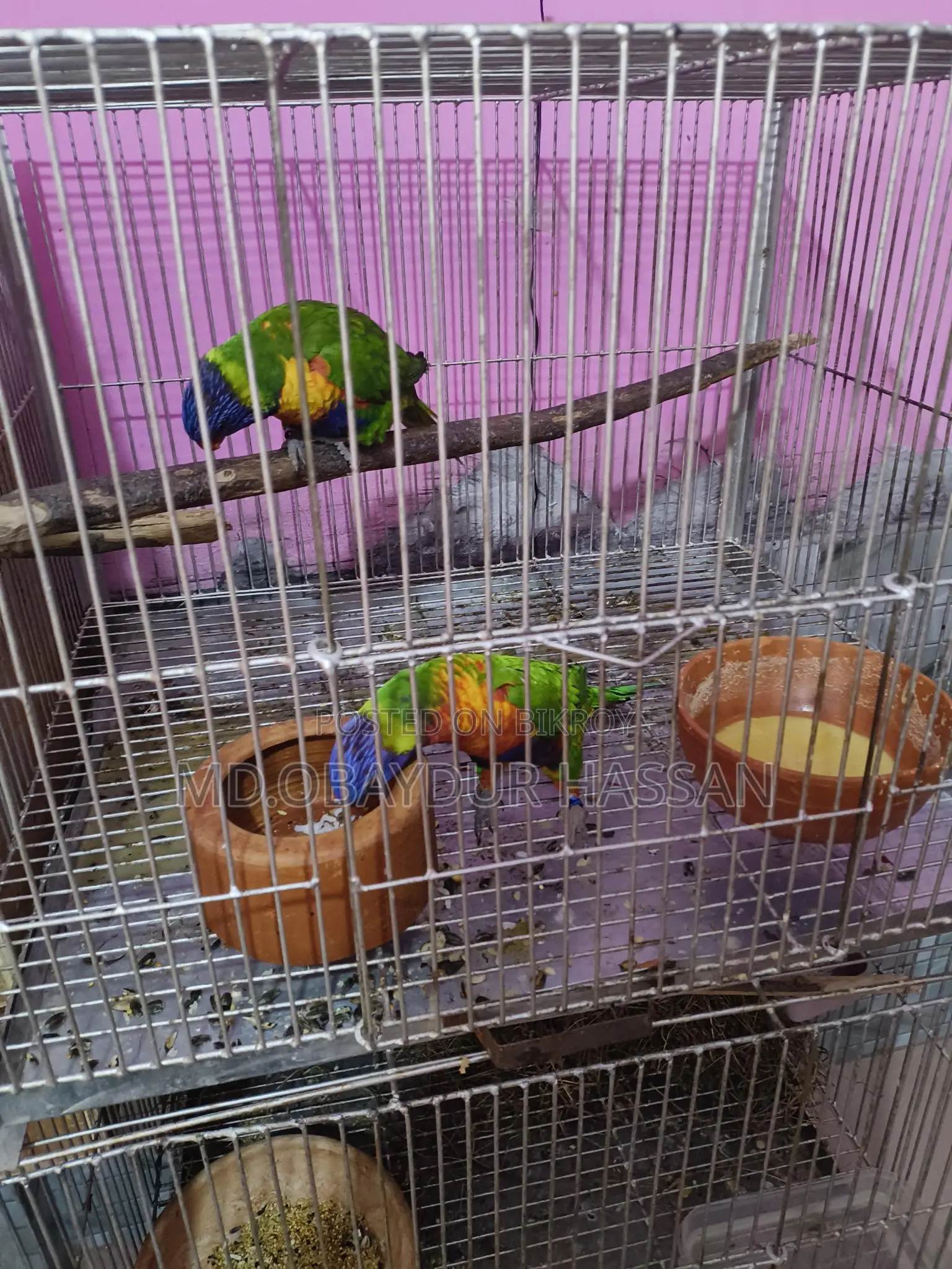 রেড মূলক কার লড়ি