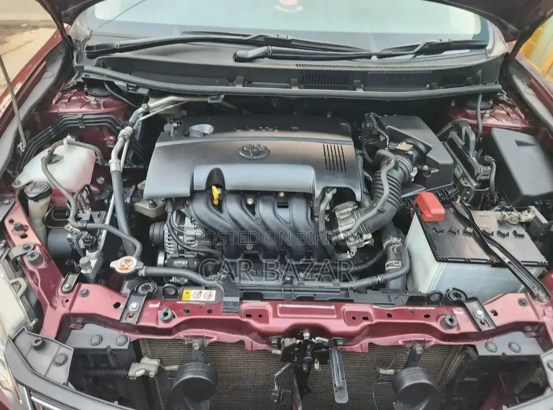 Toyota Premio FEX PACKAGE 2019