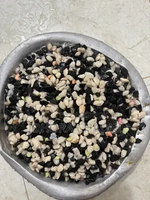অ্যাকুরিয়াম